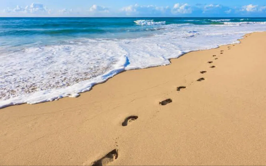 Footprints we leave behind