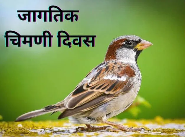 कविता - बालगीत 🌷 " इळी मिळी गुपचिळी "