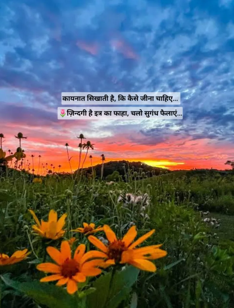 ज़िन्दगी है इत्र का फाहा…