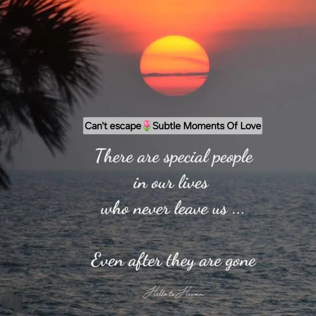 Subtle Moments Of Love...