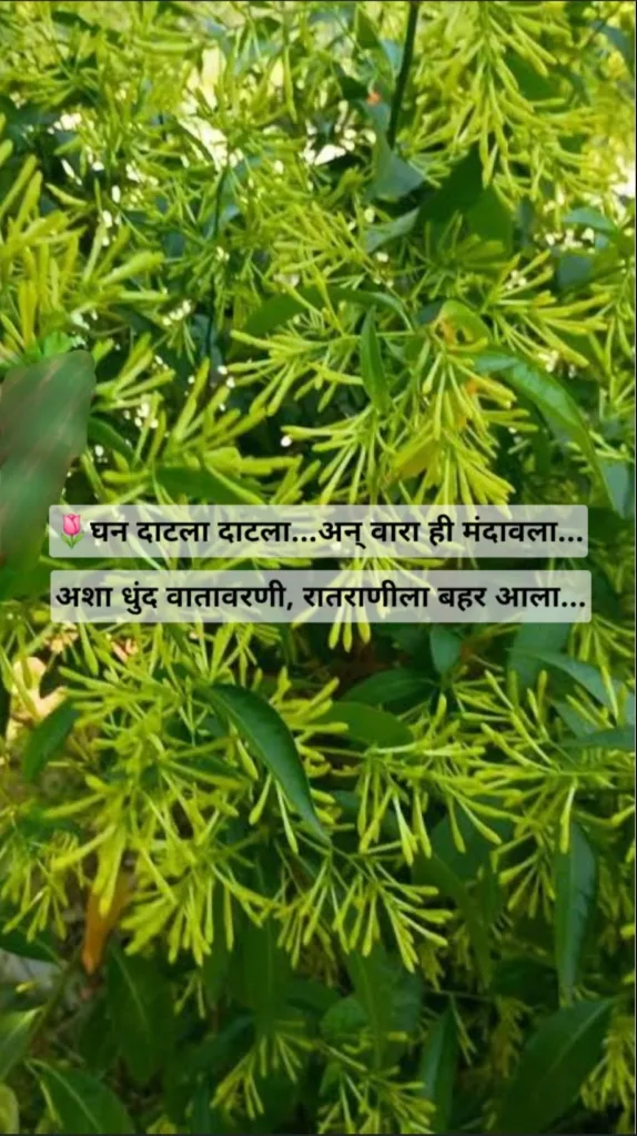 घन दाटला दाटला...