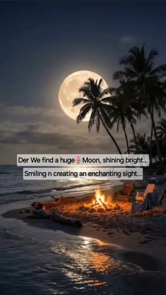 Our Dream-land...