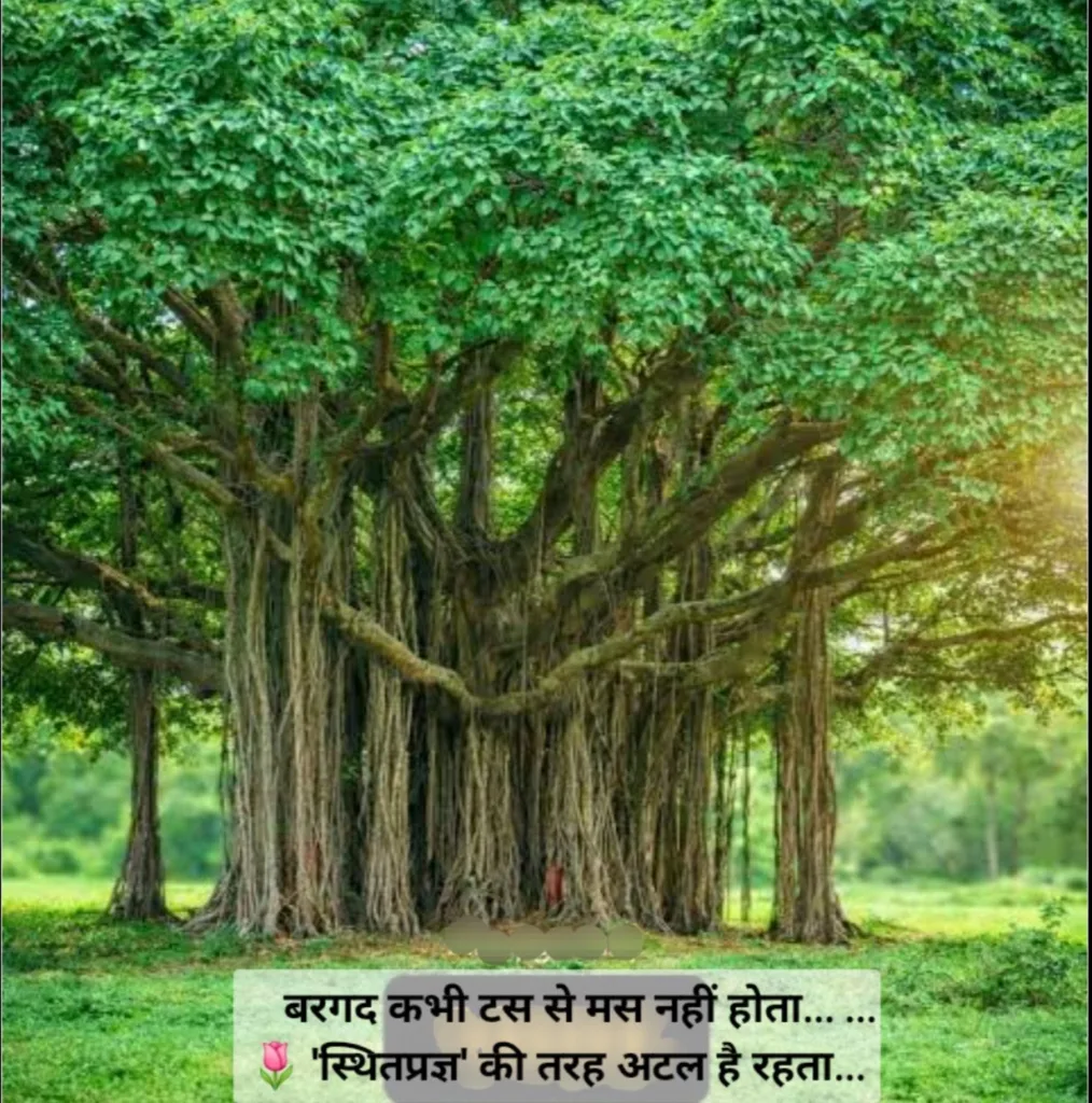 'स्थितप्रज्ञ' की तरह अटल…