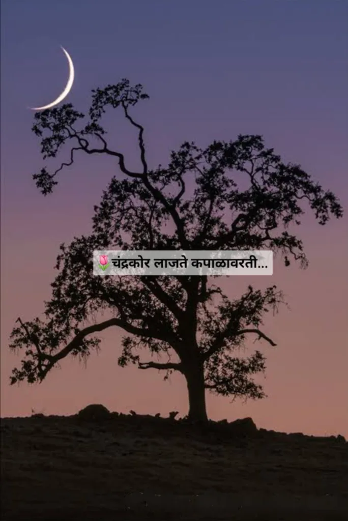 चंद्रकोर लाजते…